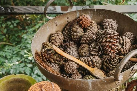 Pine cones in a rusty iron pan Ideas to decorate vintage style Stock Photos