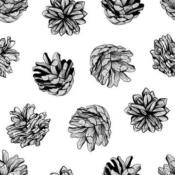 Pine cones seamless pattern design Stock Illustration