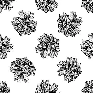 Pine cones seamless pattern design Stock Illustration