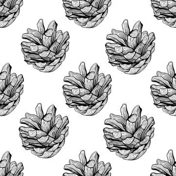 Pine cones seamless pattern design Illustrazione stock