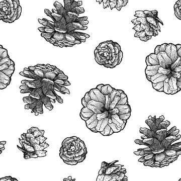 Pine cones seamless pattern isolated on white bacground. Stock Illustration