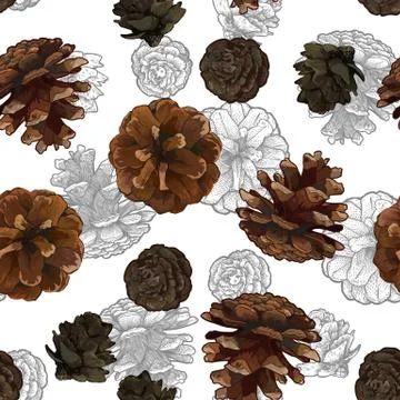 Pine cones seamless pattern isolated on white bacground. Stock Illustration