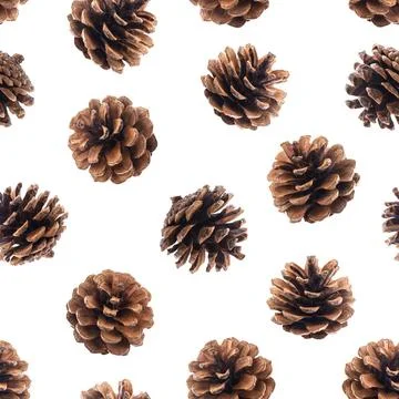 Pine cones seamless pattern Pine cones seamless pattern, fir tree cones is... Stock Photos