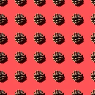 Pine cones seamless photo pattern Stock Photos