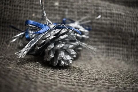 Pine cones in silver paint on black and white background Stock Photos
