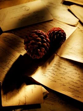 Pine cones on table of letters 스톡 사진