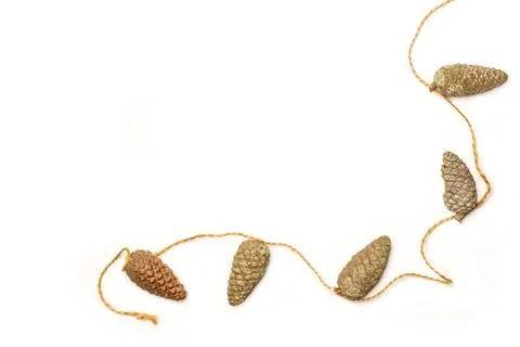 Pine cones tied by a sisal thread on a white background with copy space Stock Photos