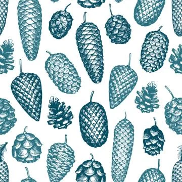 Pine cones vector hand drawn seamless pattern. Botanical background. Vintage  Stock Illustration