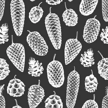 Pine cones vector hand drawn seamless pattern. Botanical background. Vintage  Stock Illustration
