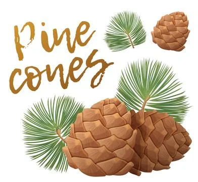 Pine cones vector icons isolated on white background, pinecone with green Illustrazione stock