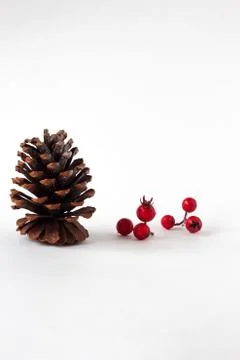 Pine cones on white background with berries Stock Photos