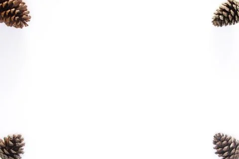 Pine cones on white Stock Photos