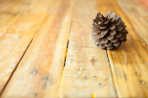 Pine cones on wooden background. Stock Photos