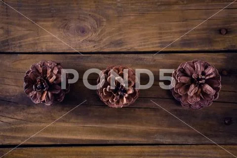 Pine cones on wooden plank Stock Photos