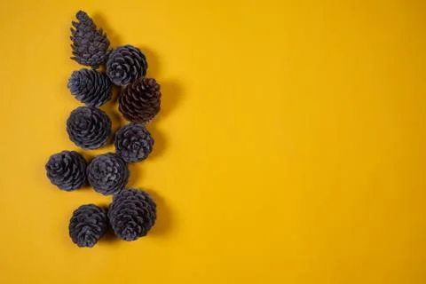 Pine cones on a yellow background. Stock Photos