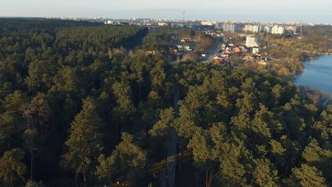 Pine coniferous forest recreation park in the city. Natural landscape. Aerial  Stock Footage 107807732