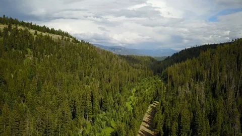 Pine covered mountain and dirt road Video stock 86464724