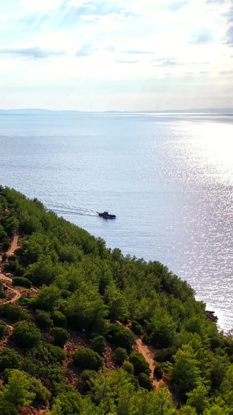 Pine covered peninsula and sparkling sea near Potos, Thassos, vertical Stock Footage 347178122