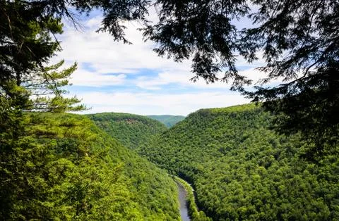 Pine Creek Gorge Stock Photos