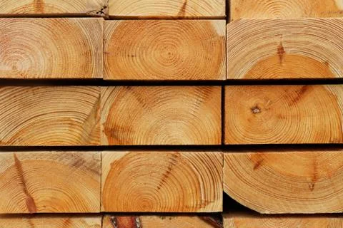 Pine End Grain Background Stock Photos