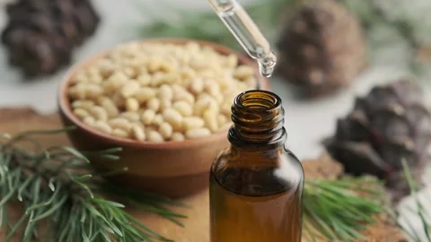 Pine essential oil with pine cones and nuts dripping from pipette Stock Footage 157456925