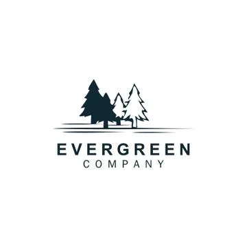 Pine Evergreen tree  Stock Illustration