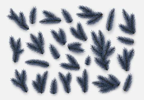 Pine fir branches. Spruce branches realistic. Christmas tree Set isolated on  Stock Illustration