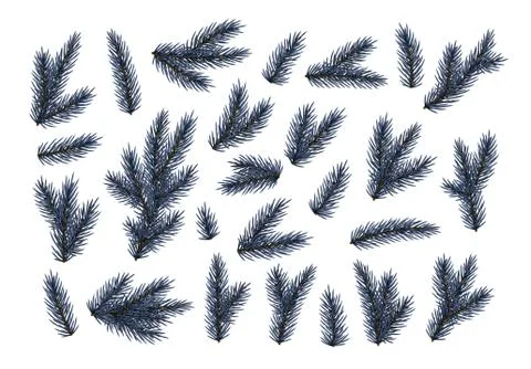 Pine fir branches. Spruce branches realistic. Christmas tree Set isolated on Stock Illustration