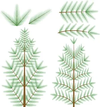 Pine fir flat elements to create christmas tree Stock Illustration