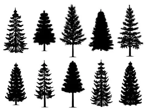 Pine fir trees collection Illustrazione stock