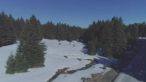 Pine forest aerial view in winter, jk01 Video stock 270416062