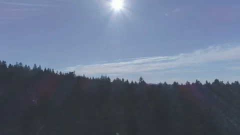 Pine forest aerial view in winter, jk01 Video stock 270419457