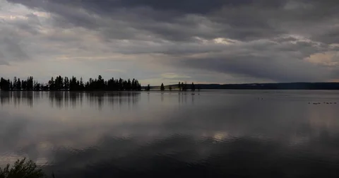 Pine forest along a glassy lake 4k 24fps Stock Footage 81690293
