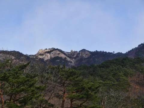 Pine forest and a big rock on the background. Seoraksan National Park. South Stock Photos