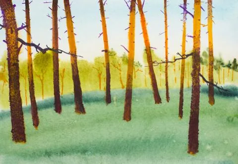 Pine forest and bright sky Stock Illustration