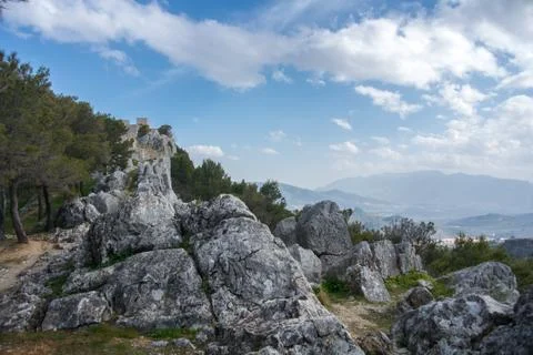 Pine forest and a castle on the top of the mountain near Jaen in Andalusia,.. Stock Photos