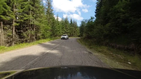 Pine forest and cloudy blue sky from car POV 4K 60fps video Vídeos de archivo 252418594