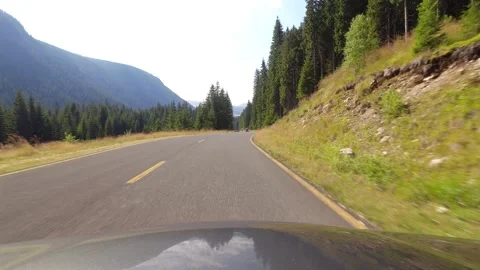 Pine forest and cloudy sky by driving 4K 60fps video Vídeos de archivo 252872944
