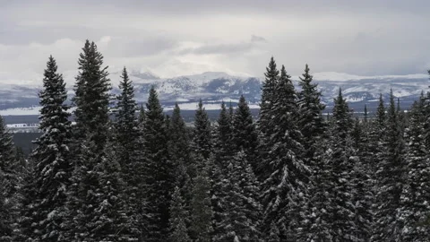 Pine forest and distant Montana mountains in winter clouds Stock Footage 166979802