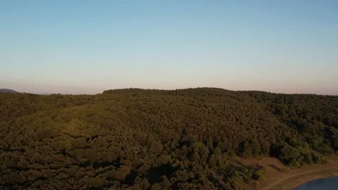 Pine forest and evening crimson Stock Footage 233195436