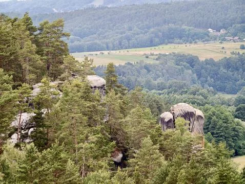 Pine forest and granite rock formations overlooking rural valley Stock Photos