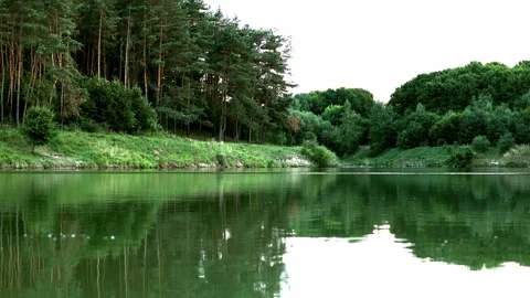 Pine forest and lake, beautiful background Stock Footage 202248389