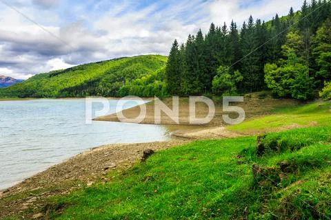 Pine forest and lake near the mountain Stock Photos