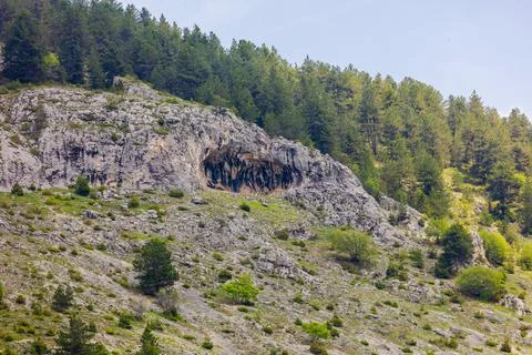 Pine forest and mountain layers landscape Stock-Fotos