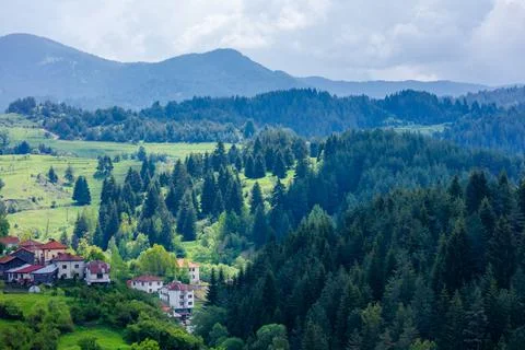 Pine forest and mountain layers landscape Stock Photos