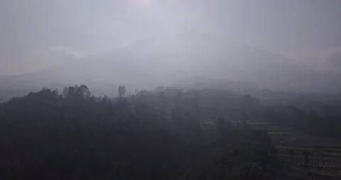 "Pine Forest and Mountain Majesty: A Drone  View of Java's Nature Video stock 237790931