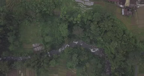 "Pine Forest and Mountain Majesty: A Drone  View of Java's Nature Stock Footage 237791440