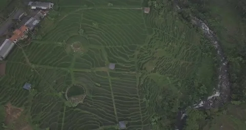 "Pine Forest and Mountain Majesty: A Drone  View of Java's Nature Video stock 237791706