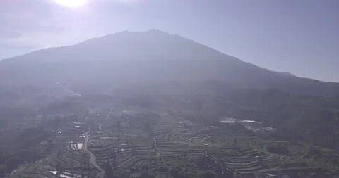 "Pine Forest and Mountain Majesty: A Drone  View of Java's Nature Stock Footage 237797186