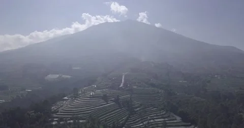"Pine Forest and Mountain Majesty: A Drone  View of Java's Nature Stock Footage 237808604